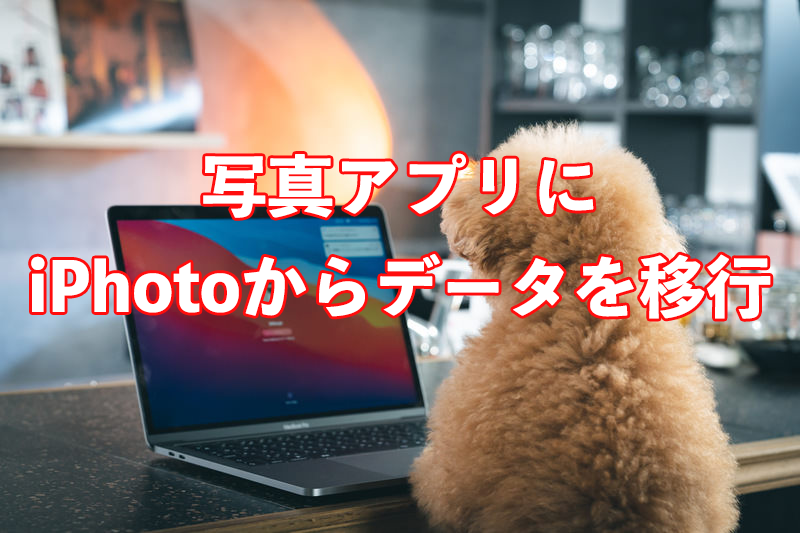 写真アプリデータ移行